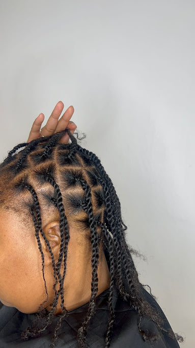 Coiffure protectrice (nattes ou vanilles)